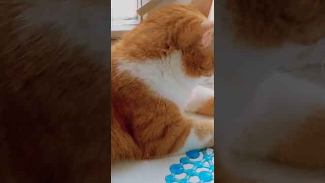 По фэн-шую)))