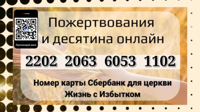 Добровольные пожертвования