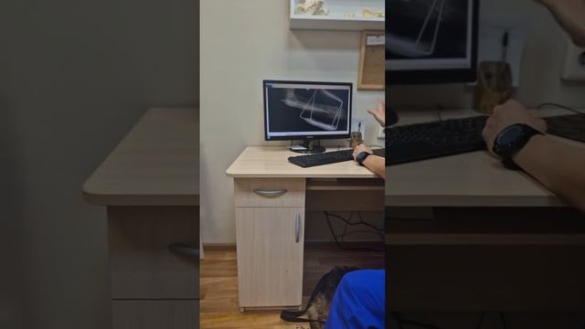 VID_20241218_195155_796