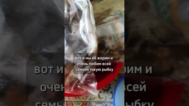 ГЛАВНЫЙ ВОПРОС