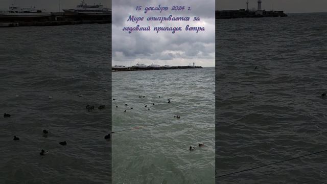 15 декабря 2024 г. Море демонстрирует темперамент #ялта2024 #ялта #море