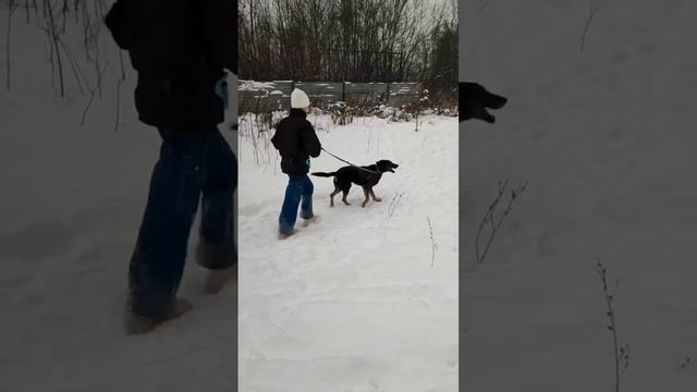 А вот Лиза и Наоми❄️