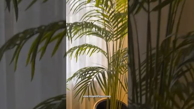 Лучший товар для перепродажи?

Несомненно наши - 
ДЕРЕВЬЯ🌳🌴
(имитация живых)