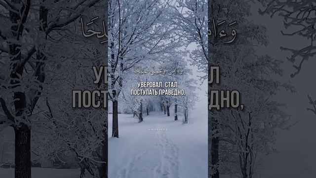 Сура «Та Ха» аят 82 | Шариф Мустафа.mp4