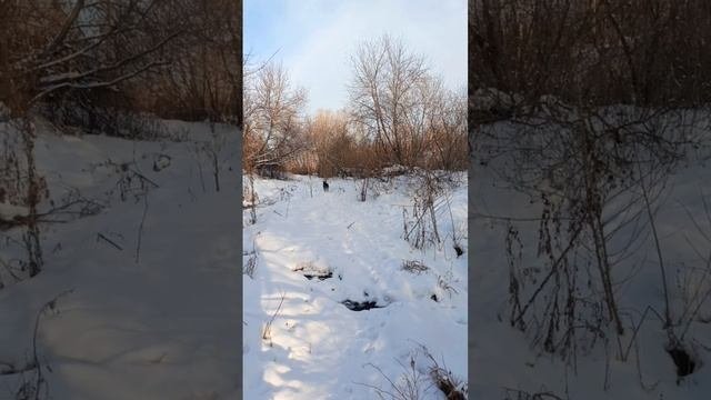 прогулка по её местам...