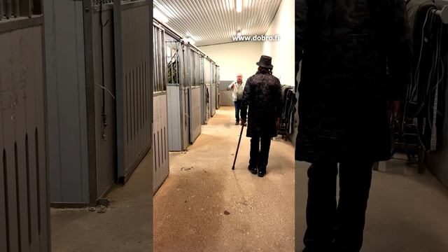 Зарядка в конюшне