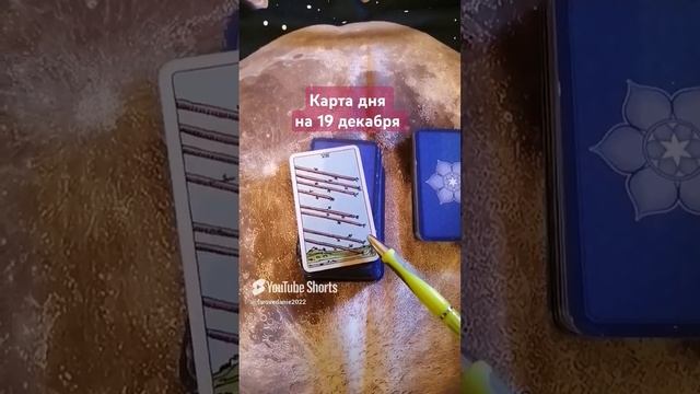 Карта дня на 19 декабря.mp4