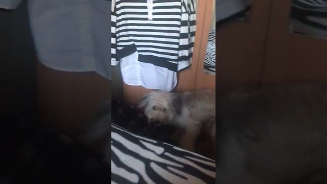 VID_20241218_193156_901