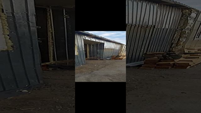 1000051407.mp4