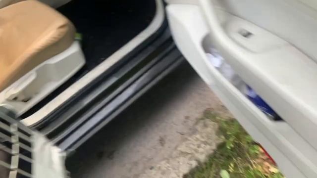 Латвия Вася вернулся! Котики прощаются с другом Кошачий влог Переезд кота Жизнь в Латвии
