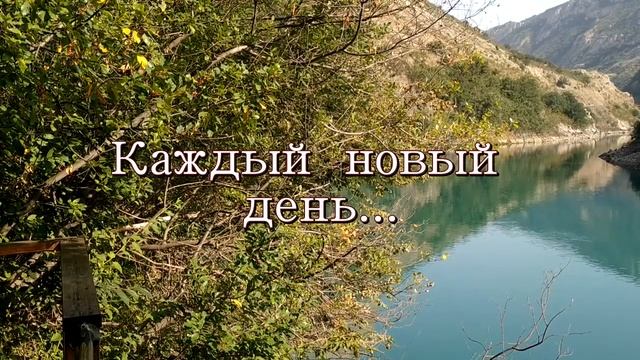 Каждый новый день