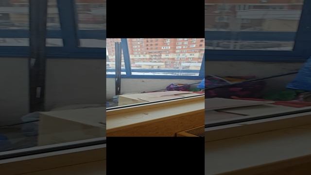 1000186374.mp4