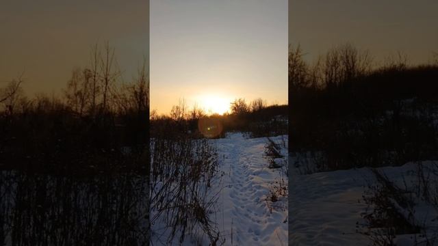 прогулка