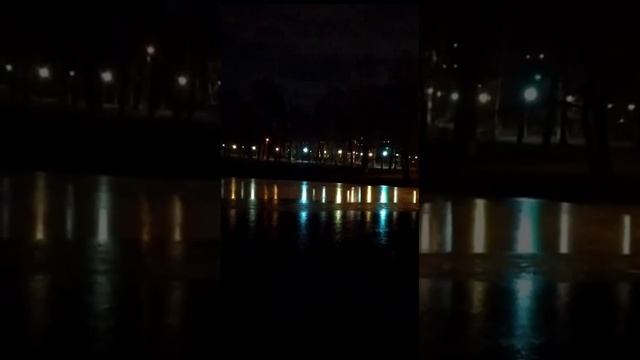 Утка