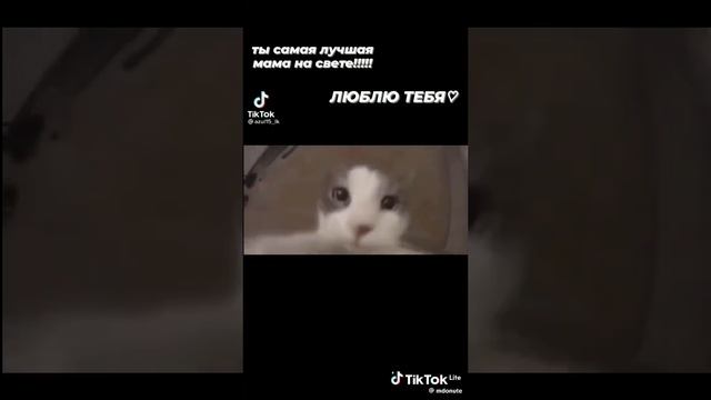 1000058519.mp4