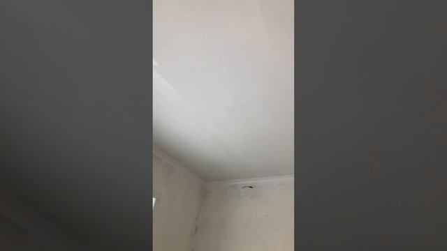 Идеальный потолок