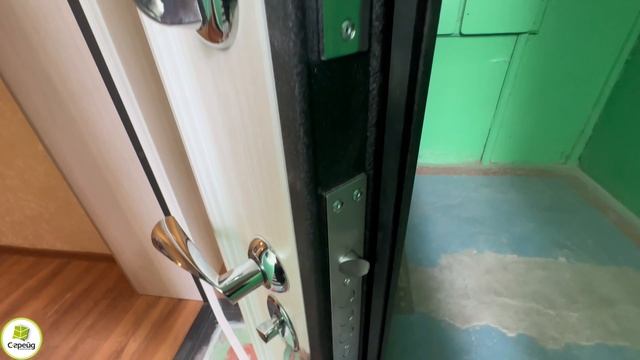 Дверь на Новомосковской
