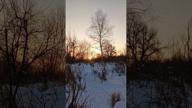 прогулка