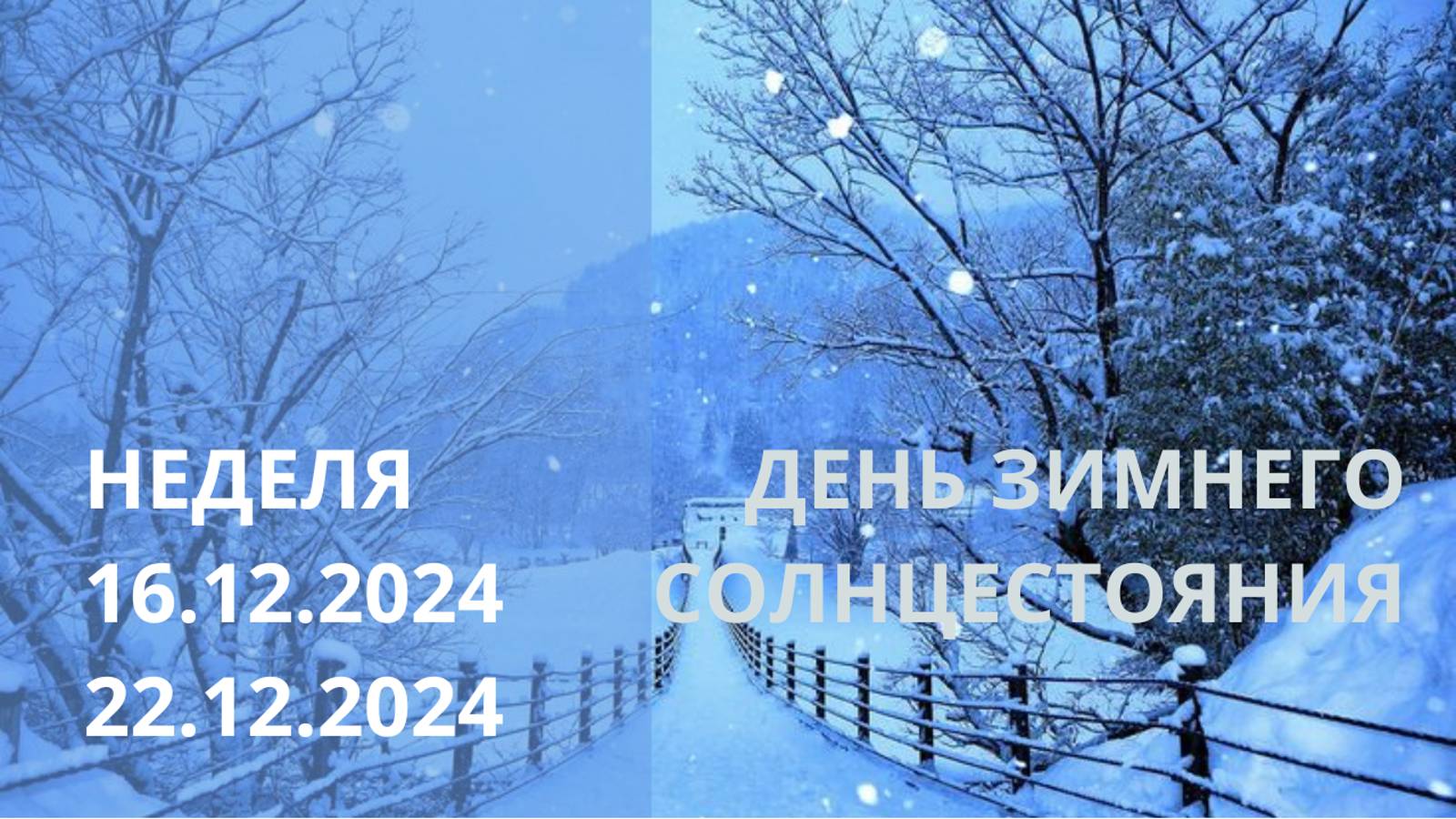 ⭐ ПРОГНОЗ НА НЕДЕЛЮ С 16.12.2024 ПО 22.12.2024 ⭐ Контакты floransia@yandex.ru