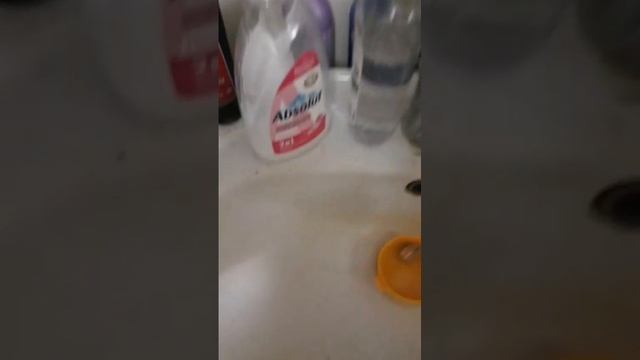 Рошельный видосик от Маши