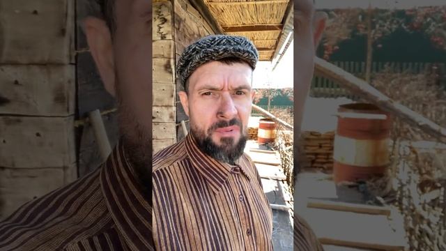 Трезвость города берет
