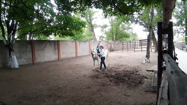 ЗООПАРК В МАРИУПОЛЕ Часть 3 УРОКИ ВЕРХОВОЙ ЕЗДЫ ДЛЯ МАЛЕНЬКОЙ ПРИНЦЕССЫ