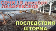 СОЧИ Лазаревское шторм , Лазаревское обзор, Лазаревское сегодня, Лазаревское погода, Сочи шторм🌴🌴