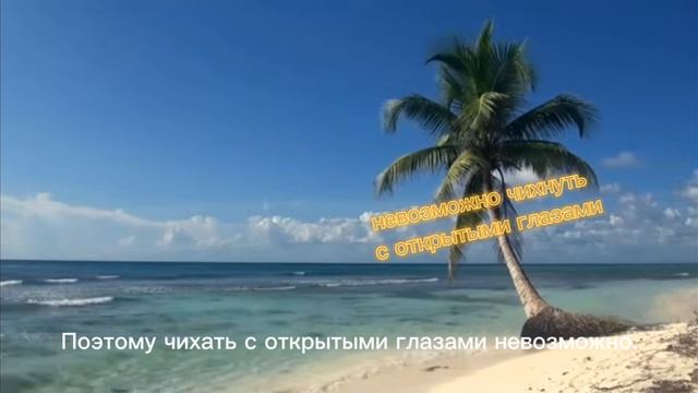 интересные факты