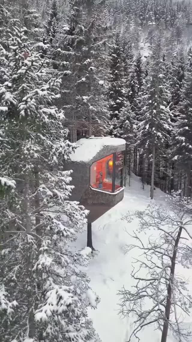 Домики-гнезда отеля Woodnest в хвойном лесу около городка Одда в Норвегии