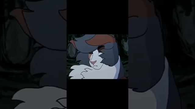 коты воители Огнезвезд, Рыжинка, Яролика, Саша,# Джейк# дом то место где кругом царит полный покой#
