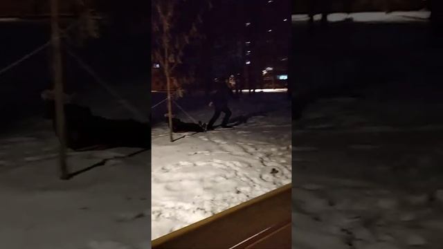 Зимние забавы