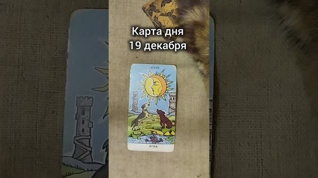 Карта дня 19 декабря