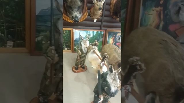 1000043950.mp4