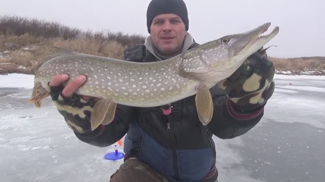 Зимняя Рыбалка на Жерлицы 24-25! Главное не Спешить!