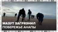 Купальный сезон в Анапе может оказаться под угрозой из-за мазута - Москва 24