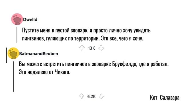 ЖИВОТНЫЕ В ПУСТОМ ЗООПАРКЕ, как ведут себя без посетителей?