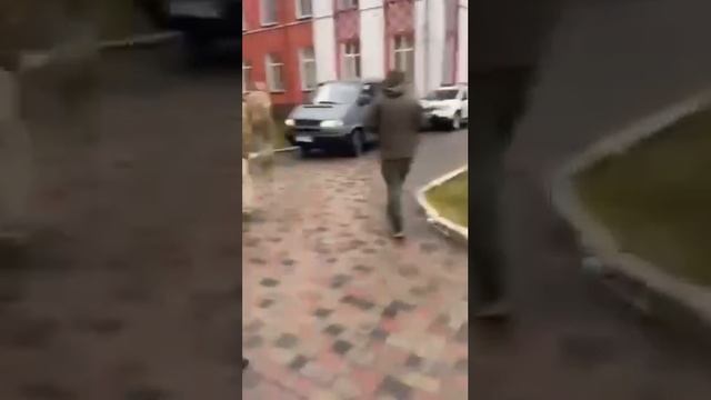 В Волынской области людоловы избивают добровольцев до потери пульса, а потом еще тепленьких уж...
