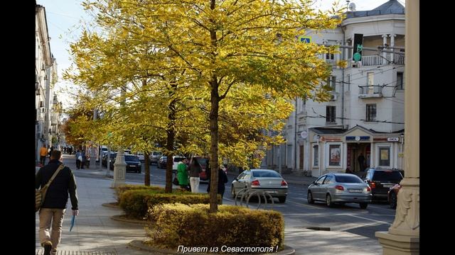 Севастополь 22 ноября 2024