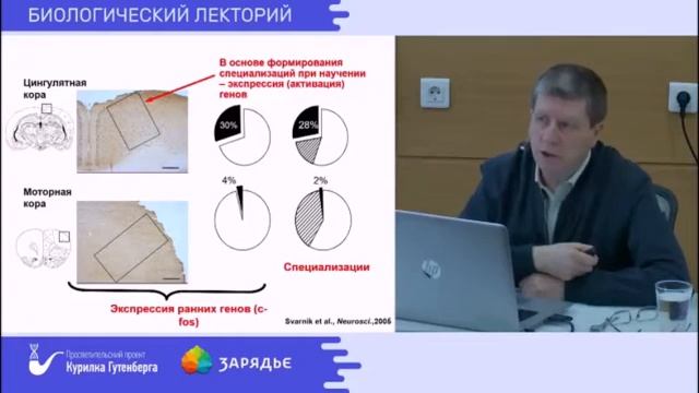 Научение на уровне нейронов