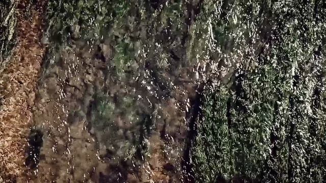 1000000670.mp4