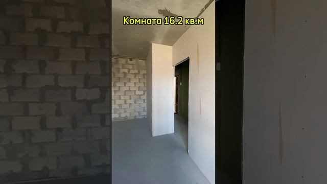 Мята.mp4