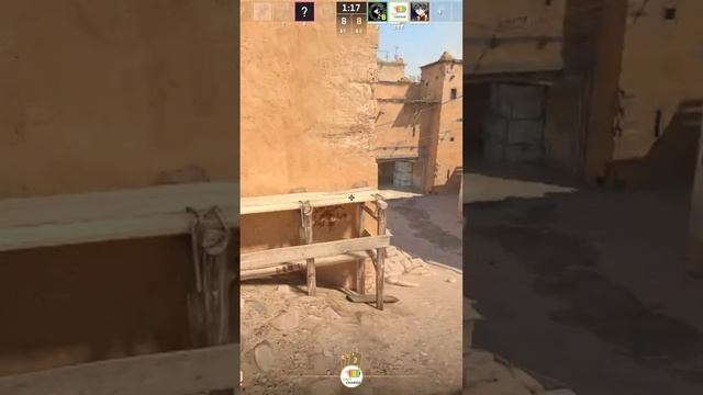 Zeus24121802