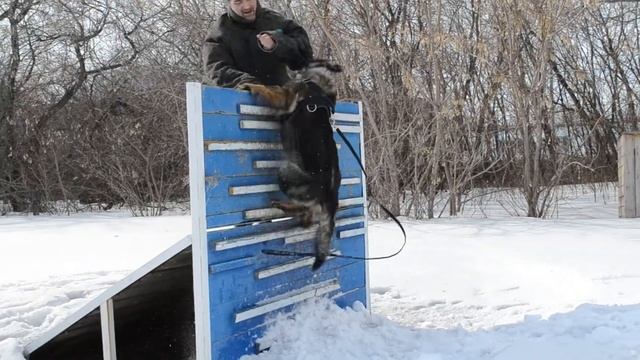 Ловим дядьку через высокий забор
