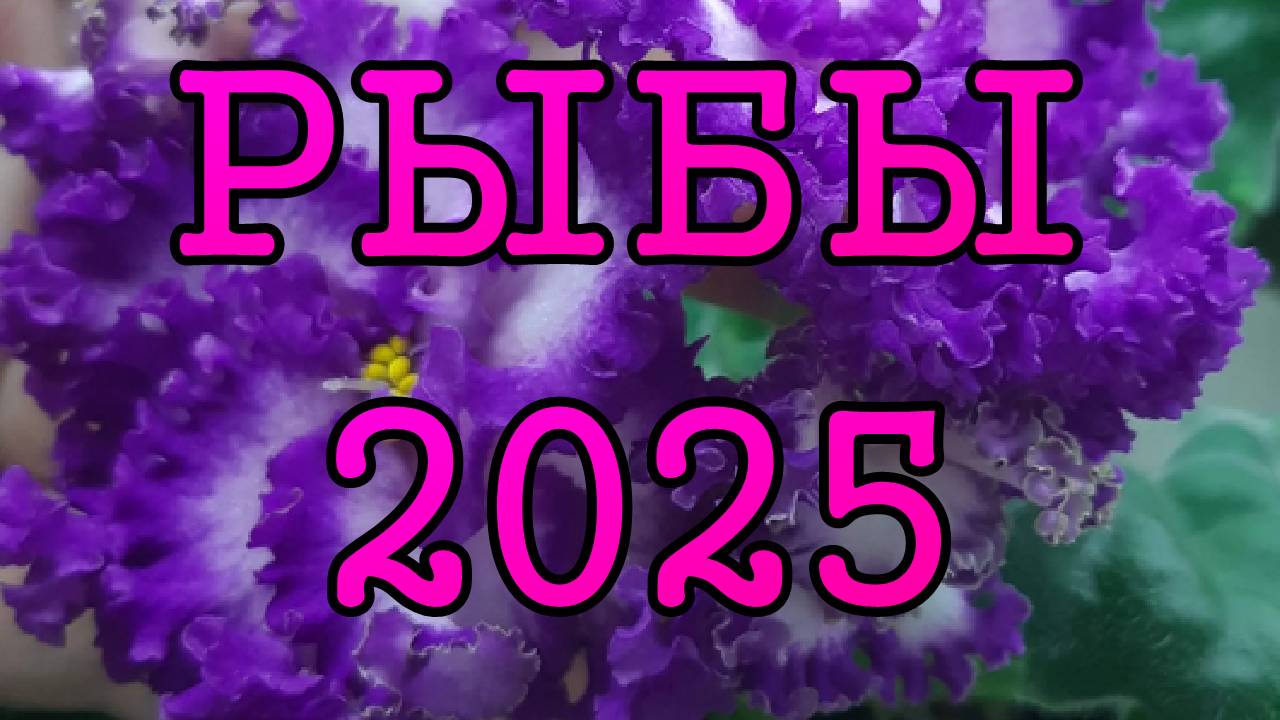 РЫБЫ таро прогноз на 2025 год по 12 домам гороскопа.