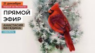Прямая трансляция с Анастасией Бесединой