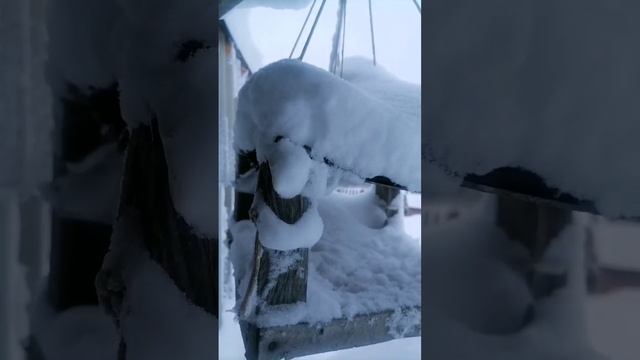 В Башкортостане наступила настоящая зима