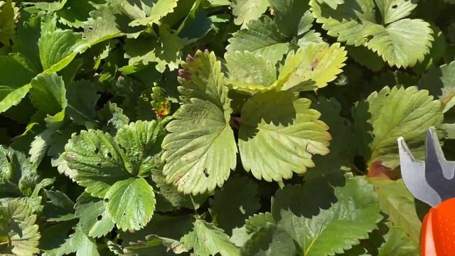 Видео влог #3 Сборы на рыбалку #нарыбалку дикарями. #астрахань #2022 #аптечка