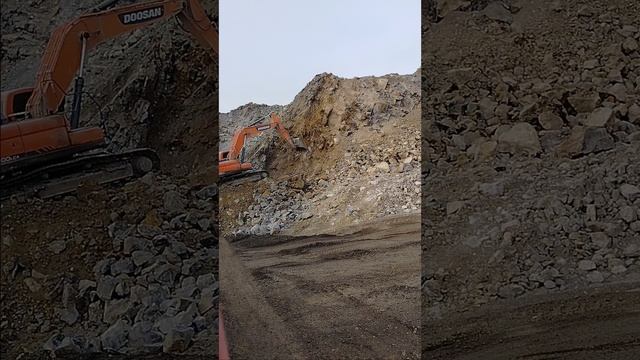1000005714.mp4