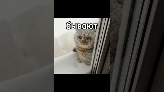 норм получилось?
