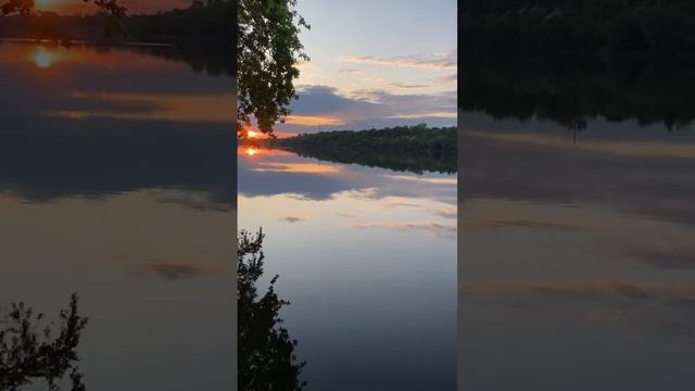 1000026961.mp4